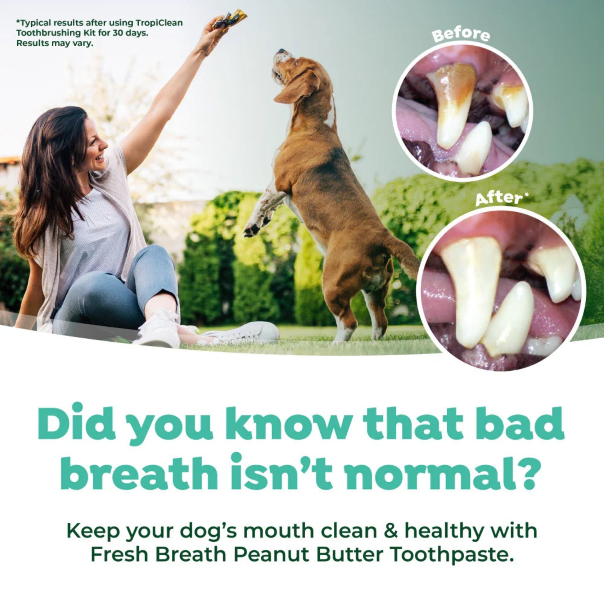 Vfresh Breath By Tropiclean Dog Enticers Gel Peanut Butter & Honey 2, view 2