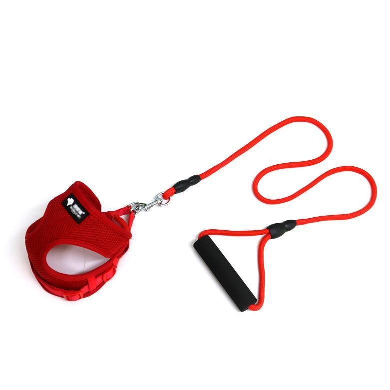 The Ultimate Comfort Dog Leash And Collar Set - Pets Perfect