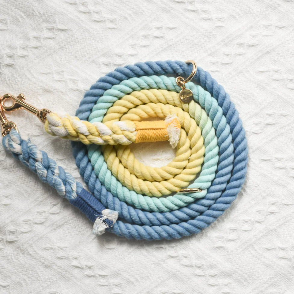 Hands-Free Dog Rope Dog Leash - Dawn