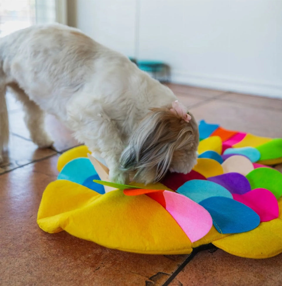 Snuffle Mat Puzzle Pad for Dogs - Interact. Feeding & Foraging, view 4