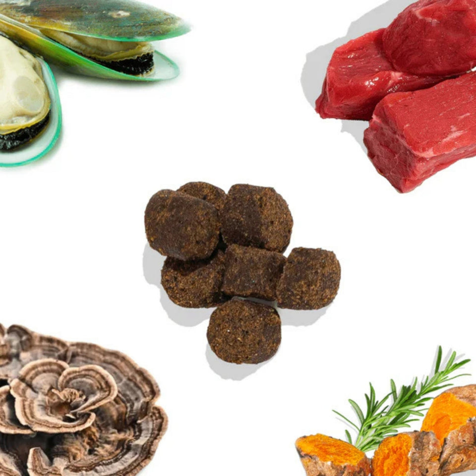Healthy Bud Dog 4.6oz. Joint Bistro Beef Liver & Heart Functional Treat