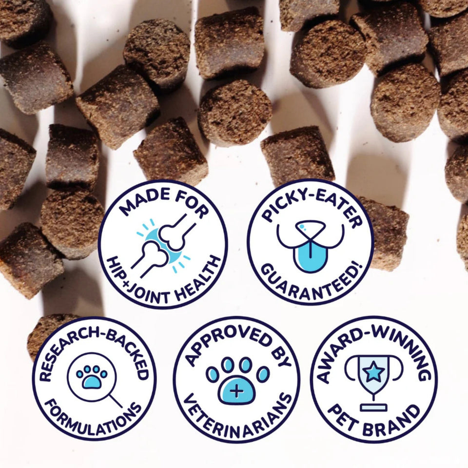 Healthy Bud Dog 4.6oz. Joint Bistro Beef Liver & Heart Functional Treat