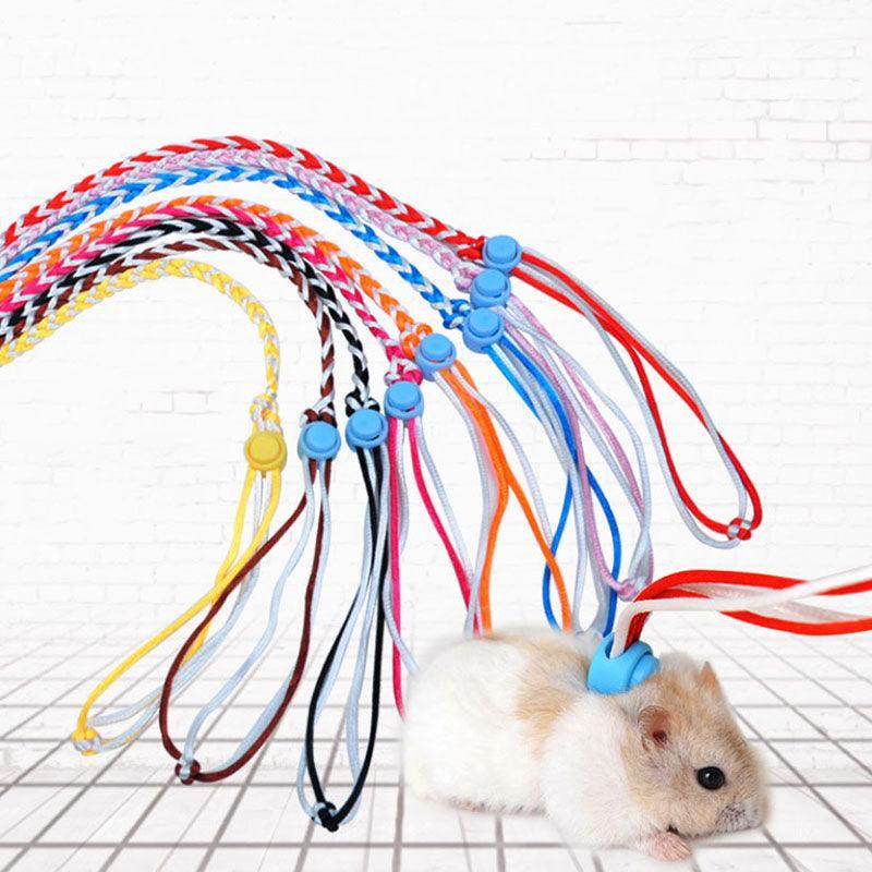 Soft And Secure Hamster Adventure Rope - Pets Perfect