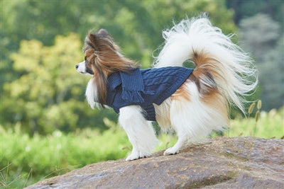 Fashion Pet Scarf Sweater for Dogs - Blue, Small