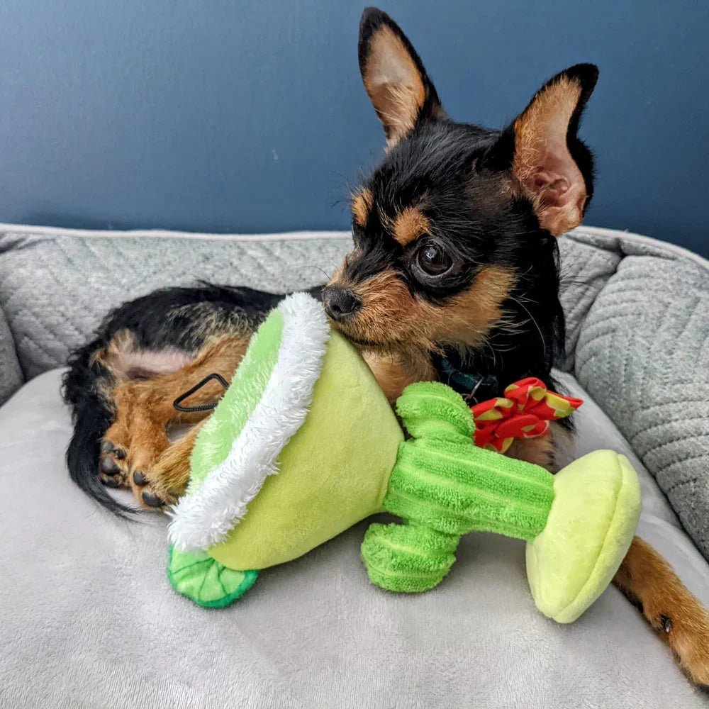 H&K Power Plush Dog Margarita Loco Small Squeak Crinkle - Pets Perfect