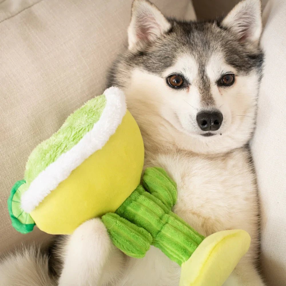 H&K Power Plush Dog Margarita Loco Small Squeak Crinkle - Pets Perfect