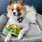 H&K Power Plush Dog Taco Tuesday Large Squeak Crinkle - Pets Perfect