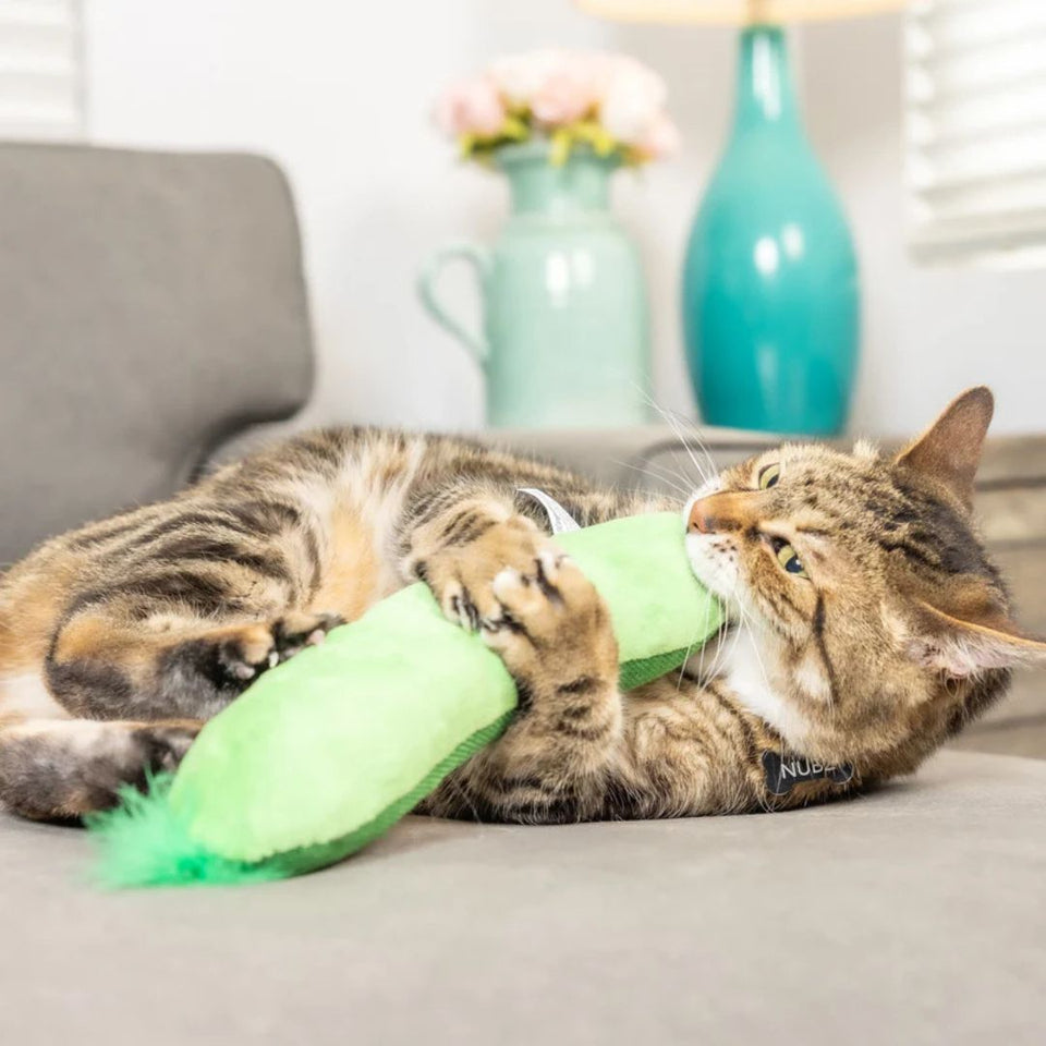 H&K C Pickle Organic Catnip Plush Crinkle