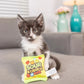 H&K C Sour Scratch Kats Organic Catnip Plush Crinkle - Pets Perfect