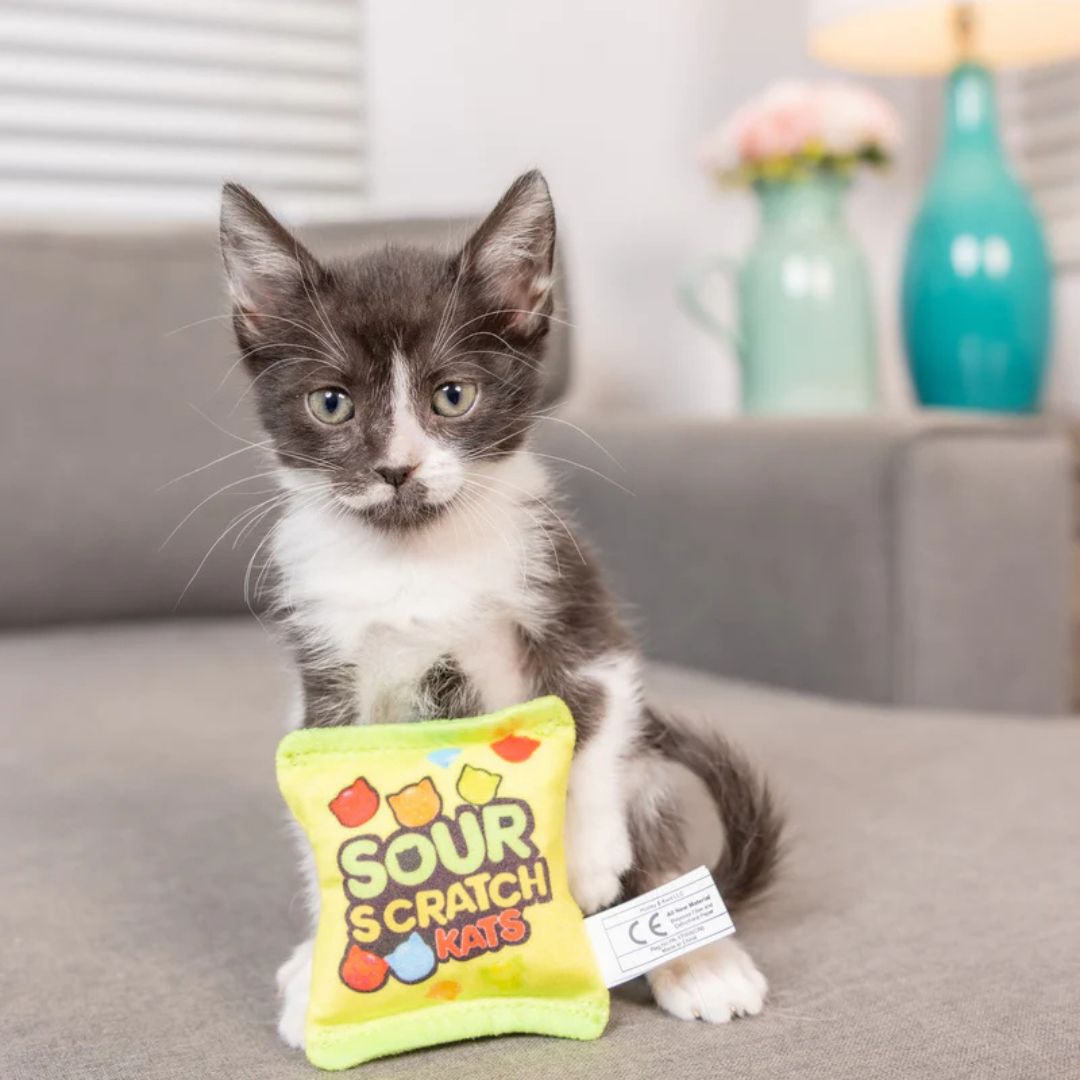 H&K C Sour Scratch Kats Organic Catnip Plush Crinkle - Pets Perfect