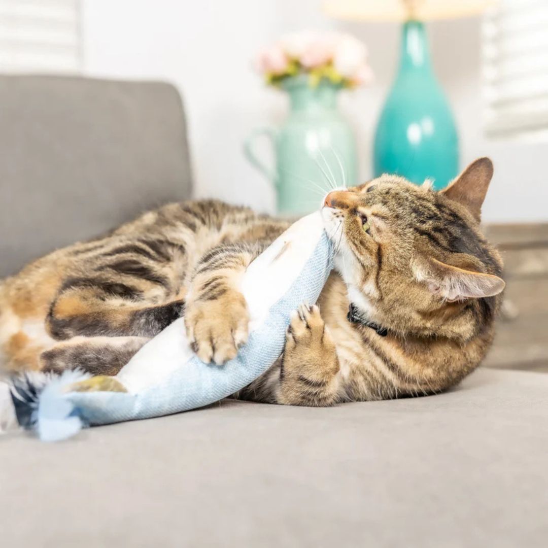 H&K C Kicker Sardine Organic Catnip Plush Crinkle - Pets Perfect