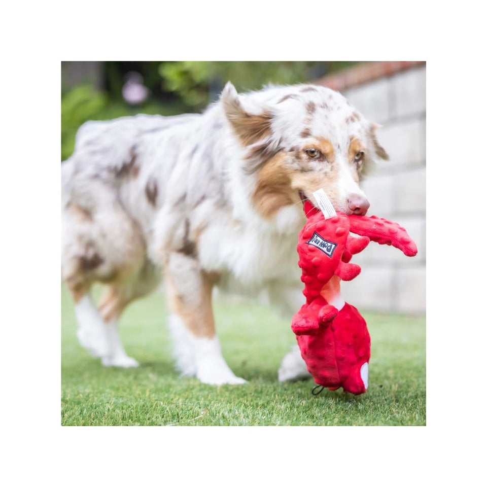 H&K Slappies D Claude Lobster Small Plush Squeak Crinkle