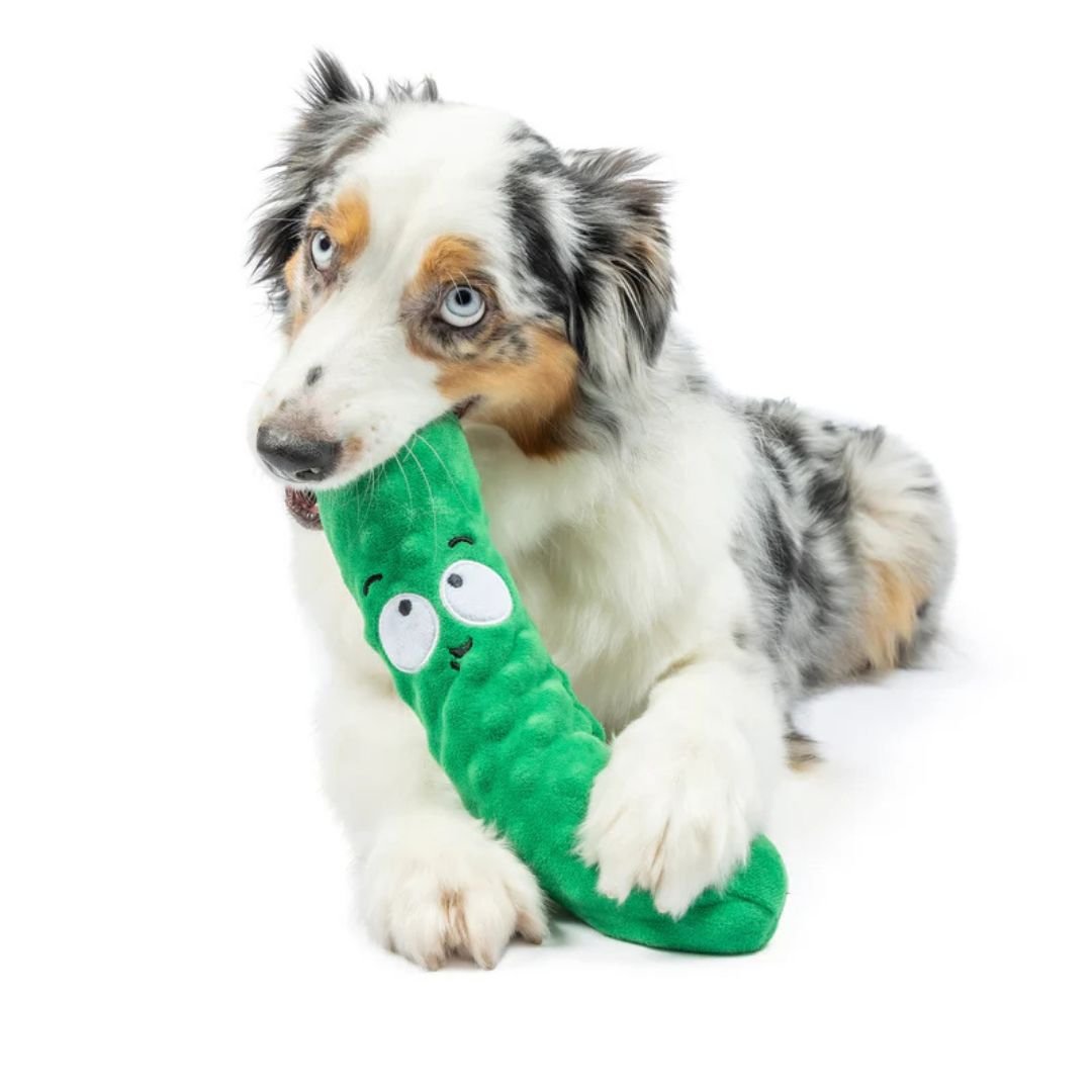 H&K Fetchies D Dell Pickle Small Plush Squeak Crinkle - Pets Perfect