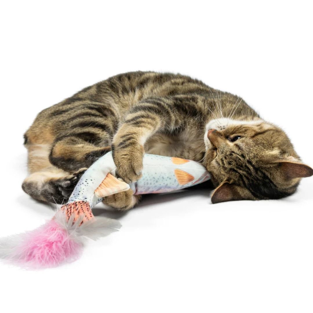 H&K C Kicker Rainbow Trout Organic Catnip Plush Crinkle - Pets Perfect