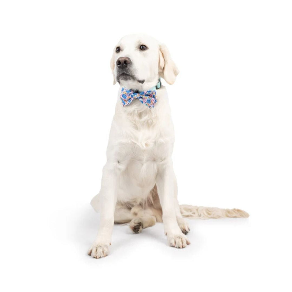 Huxley & Kent Happy Got Me Day Dog Bow Tie - Large, view 2