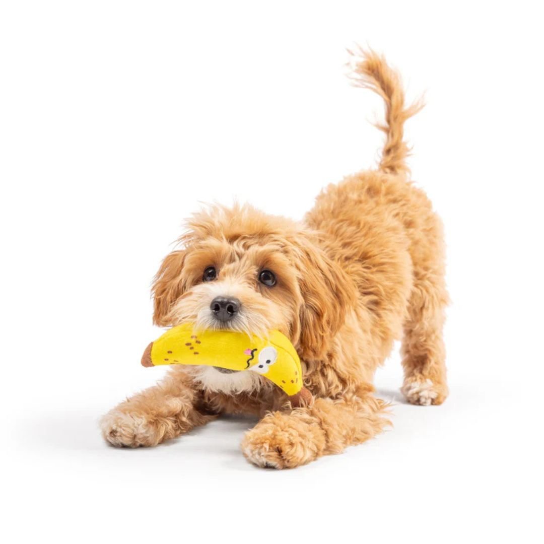 H&K Tiny Tuff D Banana Bruiser Plush Squeak Crinkle - Pets Perfect