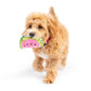 H&K Tiny Tuff D Walter Melon Plush Squeak Crinkle - Pets Perfect