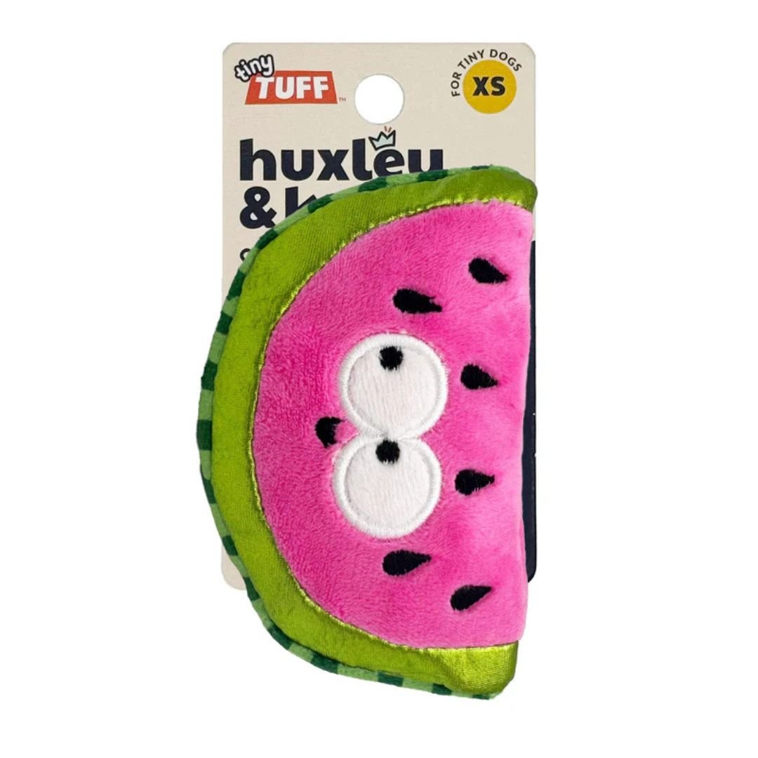 H&K Tiny Tuff D Walter Melon Plush Squeak Crinkle - Pets Perfect