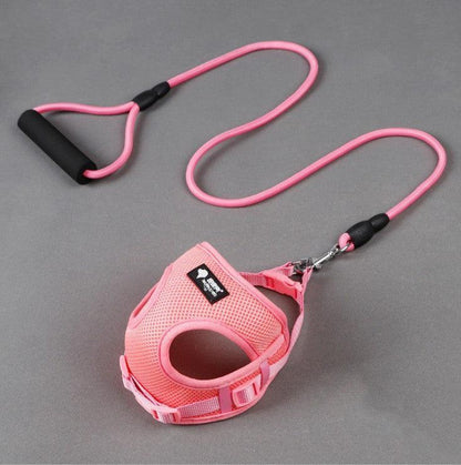 The Ultimate Comfort Dog Leash And Collar Set - Pets Perfect