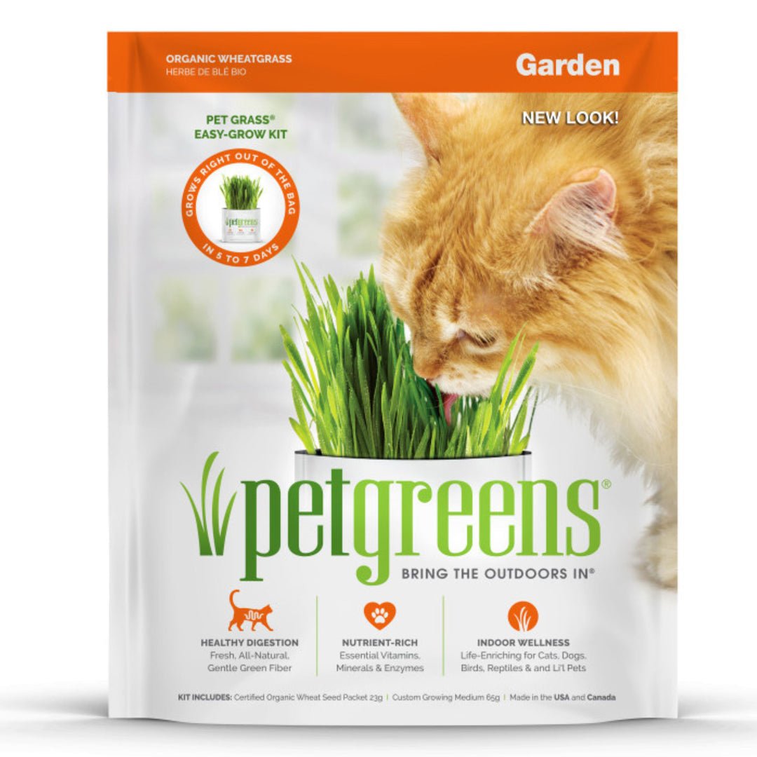Pet Greens Garden Pet Grass Self - Grow Kit Organic Wheatgrass 1ea/3 oz - Pets Perfect