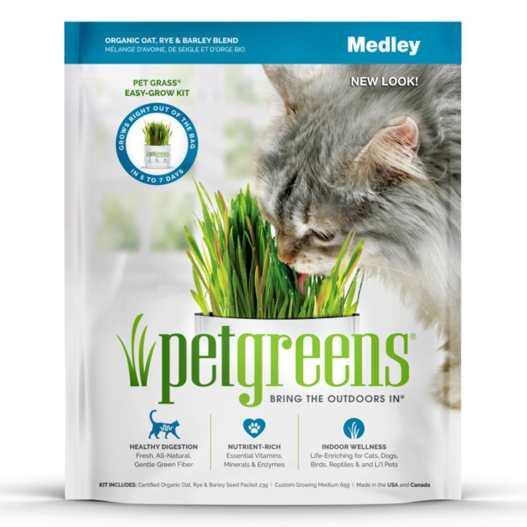 Pet Greens Medley Pet Grass Self - Grow Kit Organic Oat, Rye, & Barley Blend 1ea/3 oz - Pets Perfect