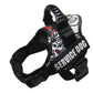 Explosafe Pet Leash: The Ultimate Safety Harness For Your Furry Friend - Pets Perfect