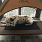 Elevated Breathable Dog Bed - Oxford Cloth - Pets Perfect