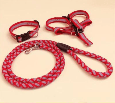 Ultimate Comfort Dog Leash - Pets Perfect