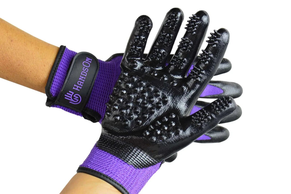 HandsOn Gloves - Pets Perfect