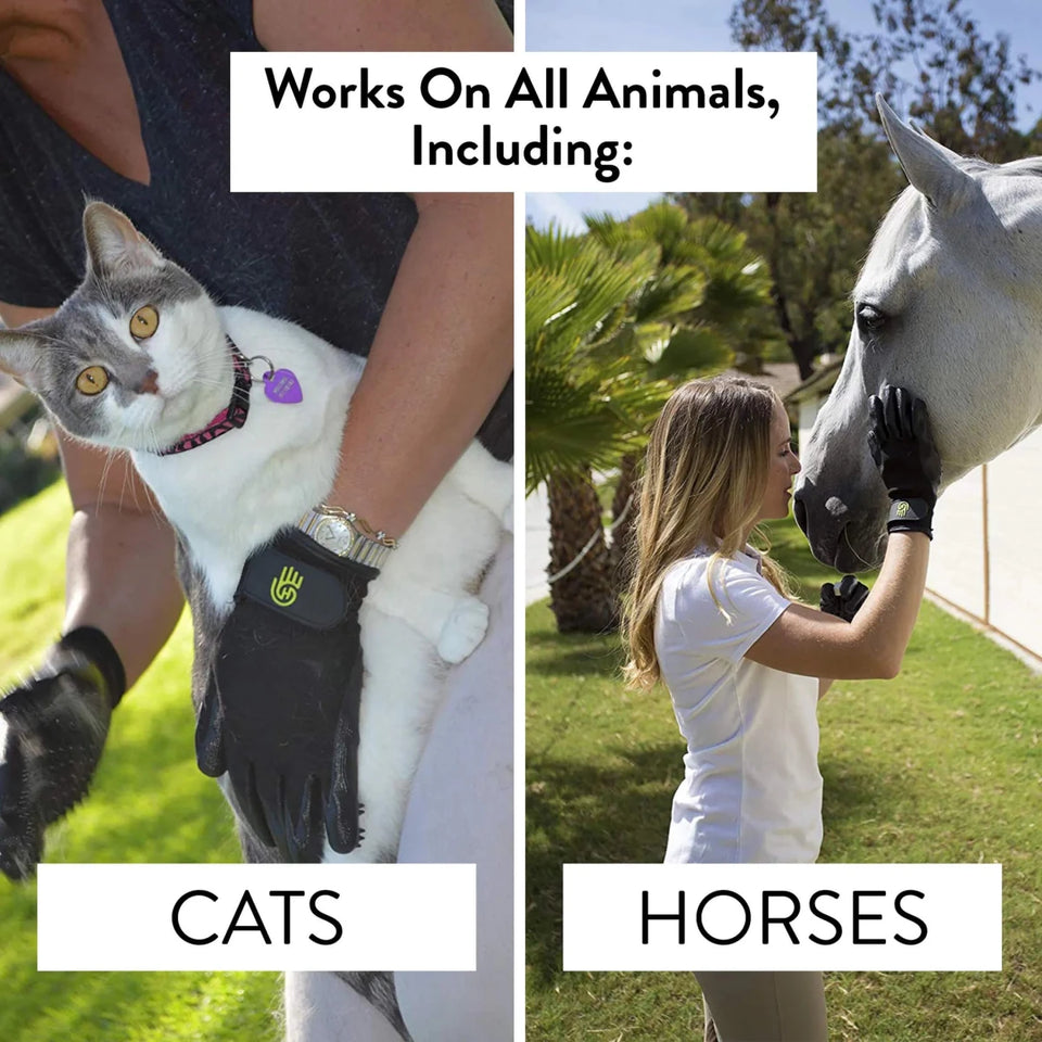 HandsOn Gloves - Pets Perfect