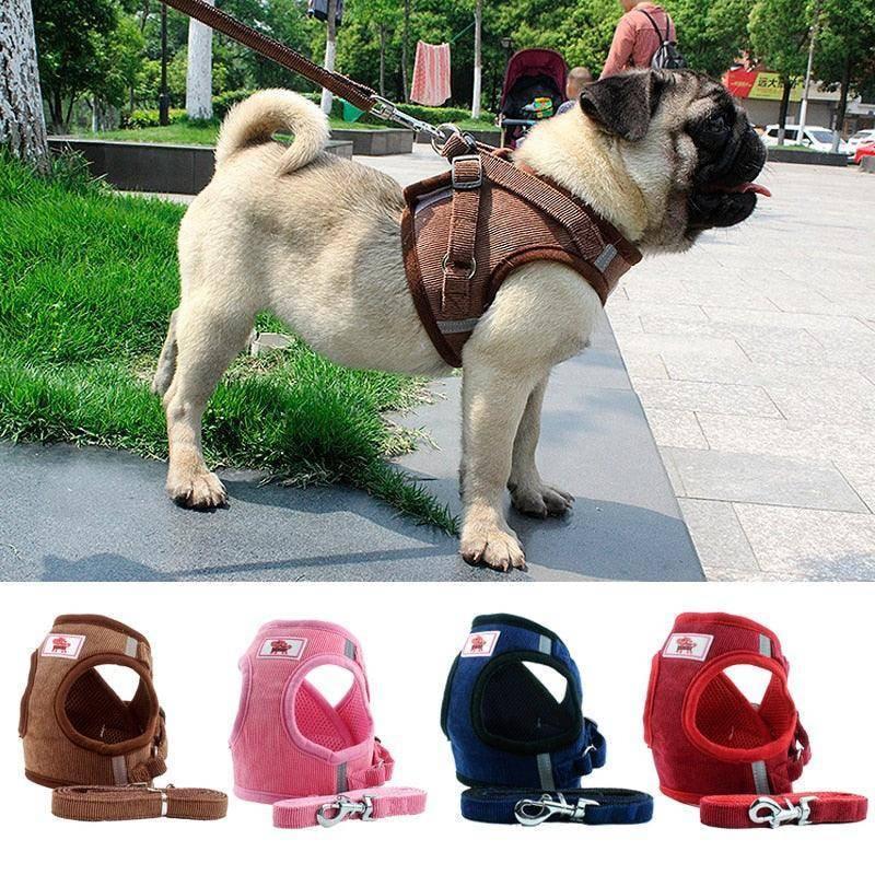 Reflective Braided Dog Chain Chest Strap - Pets Perfect