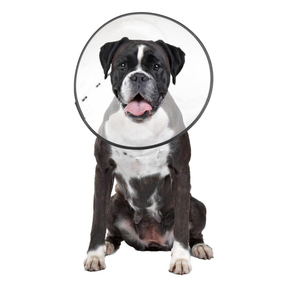 ZenPet E-Clear Plastic Recovery Dog Collar X-Large