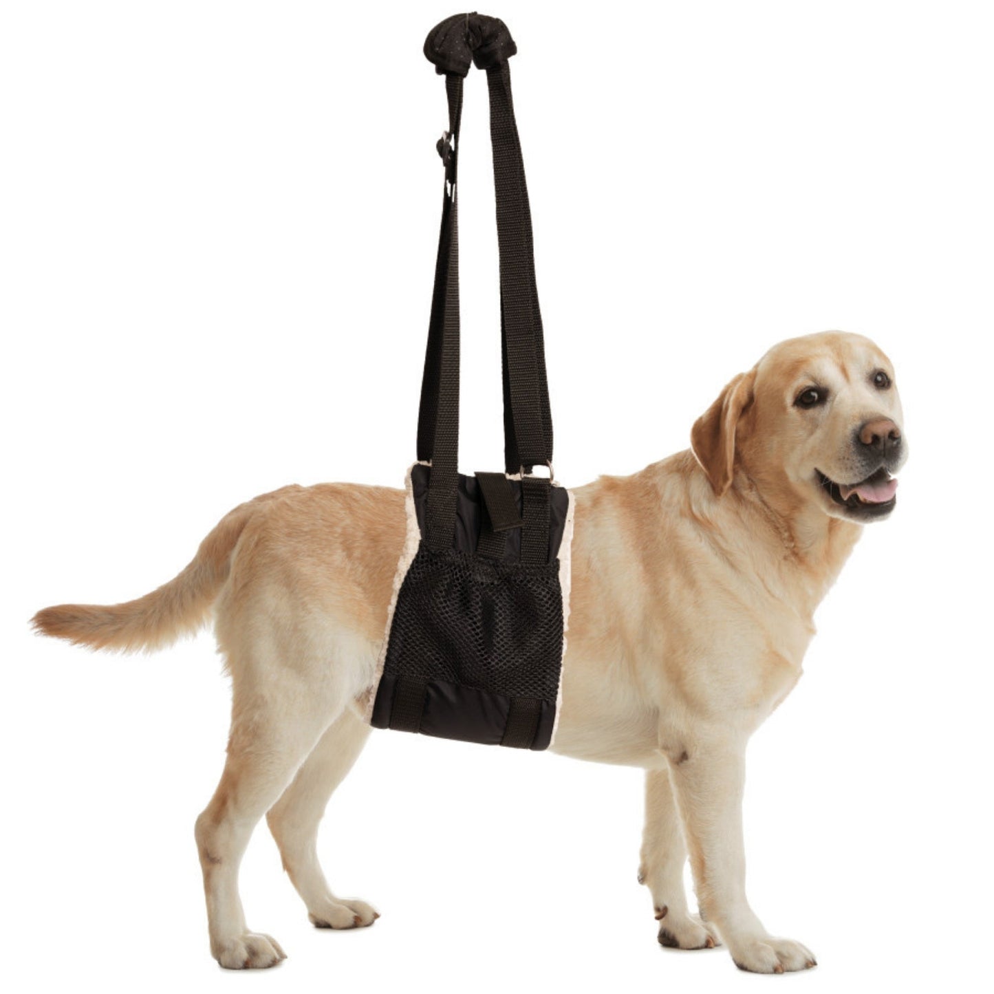 ZenPet Buddy Lift Canine Support and Rehabilitation Sling, view 2