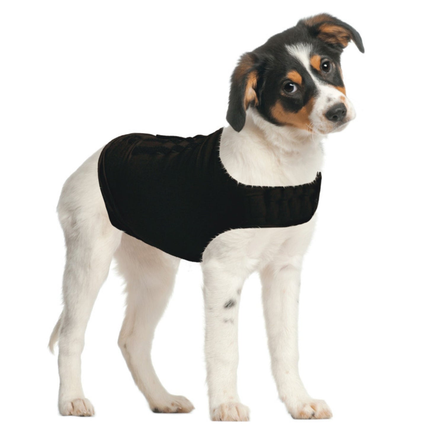 ZenPet ZenDog+ Compression Shirt Small, view 2