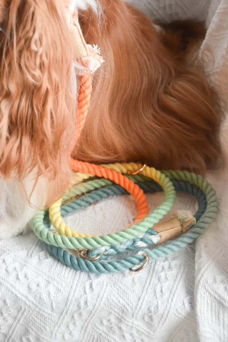 Hands-Free Dog Rope Dog Leash - Forest Shade, view 2