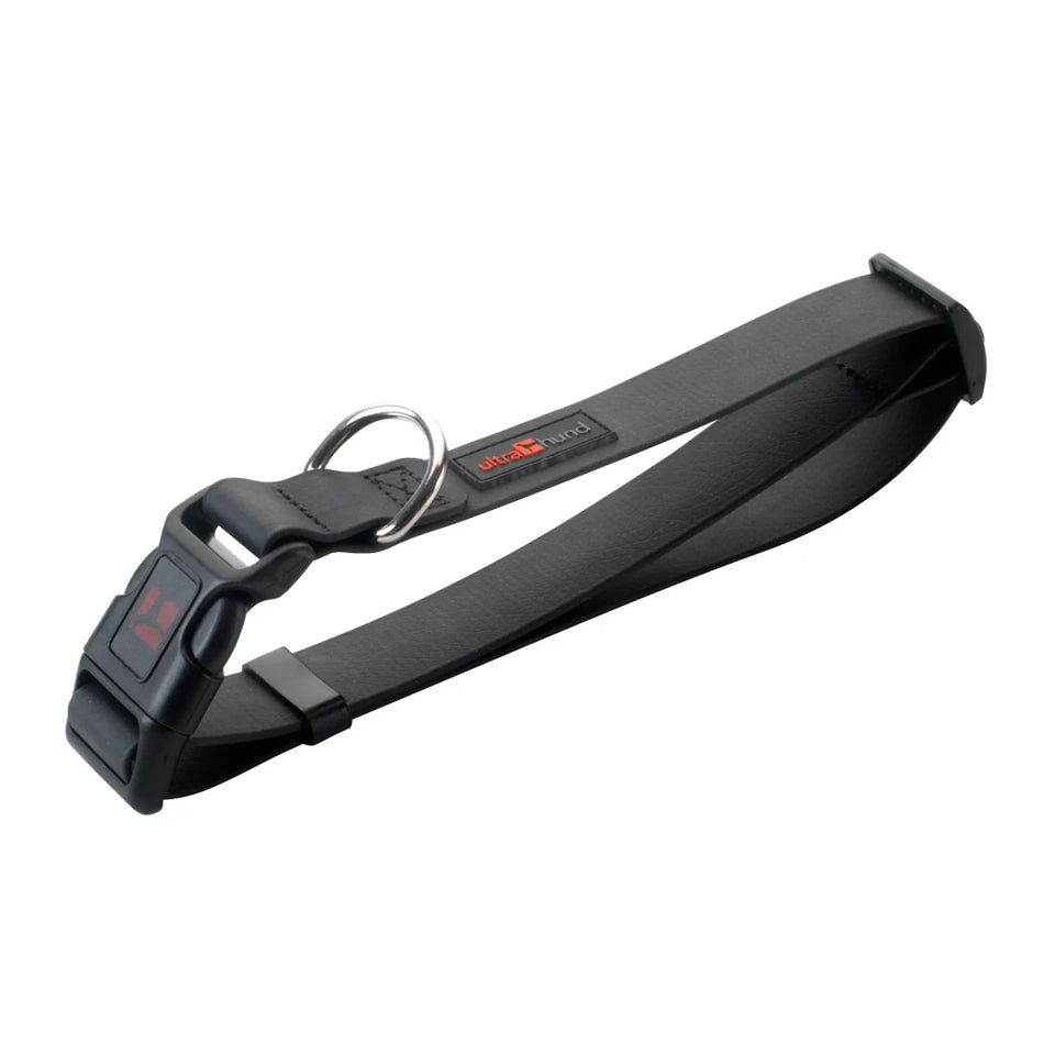 Play Adjustable Dog Collar - Pets Perfect