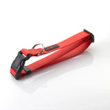 Play Adjustable Collar - Pets Perfect