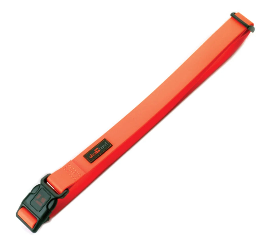 Adjustable Jogging Belt - Pets Perfect