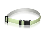 Lunalynx Glow Cat Collar - Pets Perfect