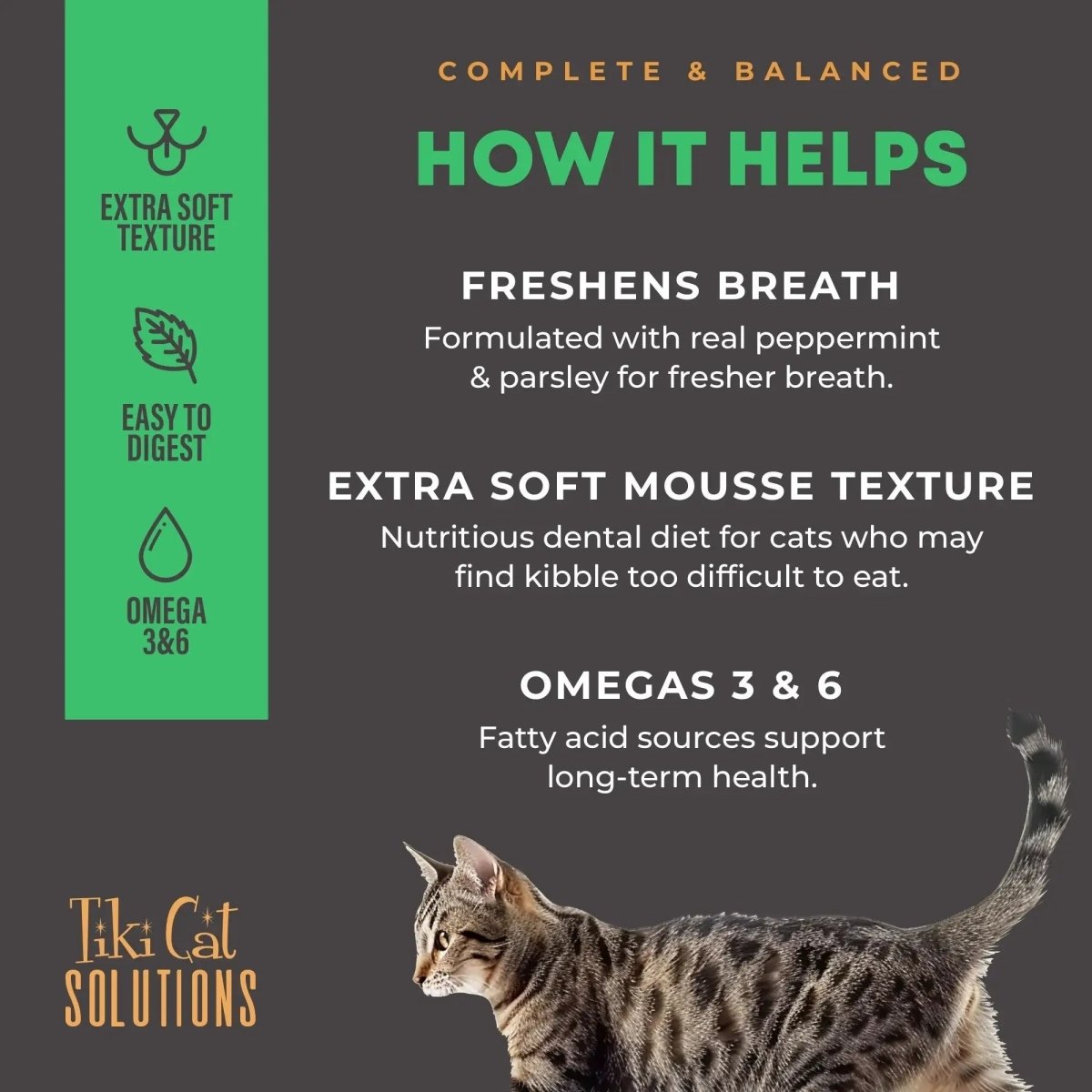 Tiki Pet Cat Solutions Mousse Dental 2.4oz. (Case of 12) - Pets Perfect