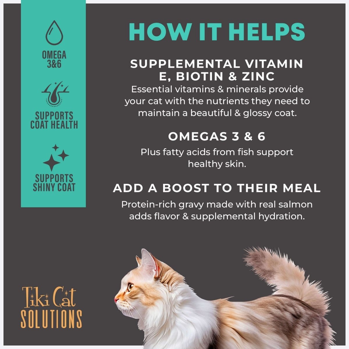 Tiki Pet Cat Solutions Skin & Coat Salmon 2.8Lb - Pets Perfect