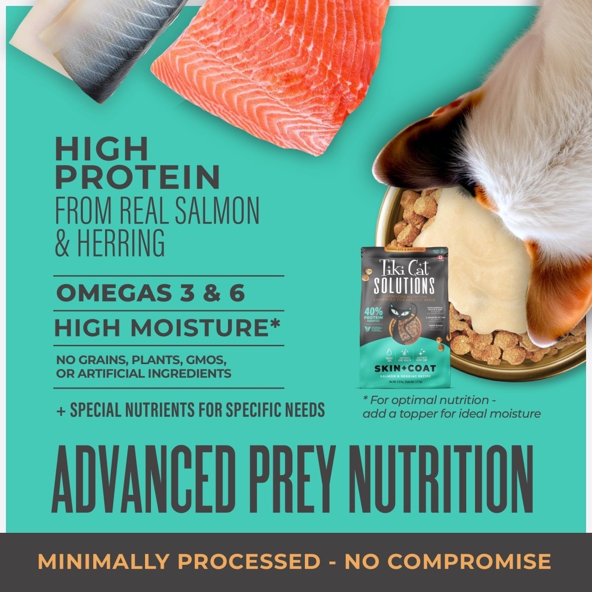 Tiki Pet Cat Solutions Skin & Coat Salmon 5.6Lb - Pets Perfect