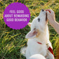 Cloud Star Chewy Tricky Trainers Liver Flavor Dog Treats; 5oz. Bag - Pets Perfect