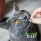 Cloud Star Grain - Free Buddy Biscuits With Tender Chicken Cat Treats; 3oz. Bag - Pets Perfect