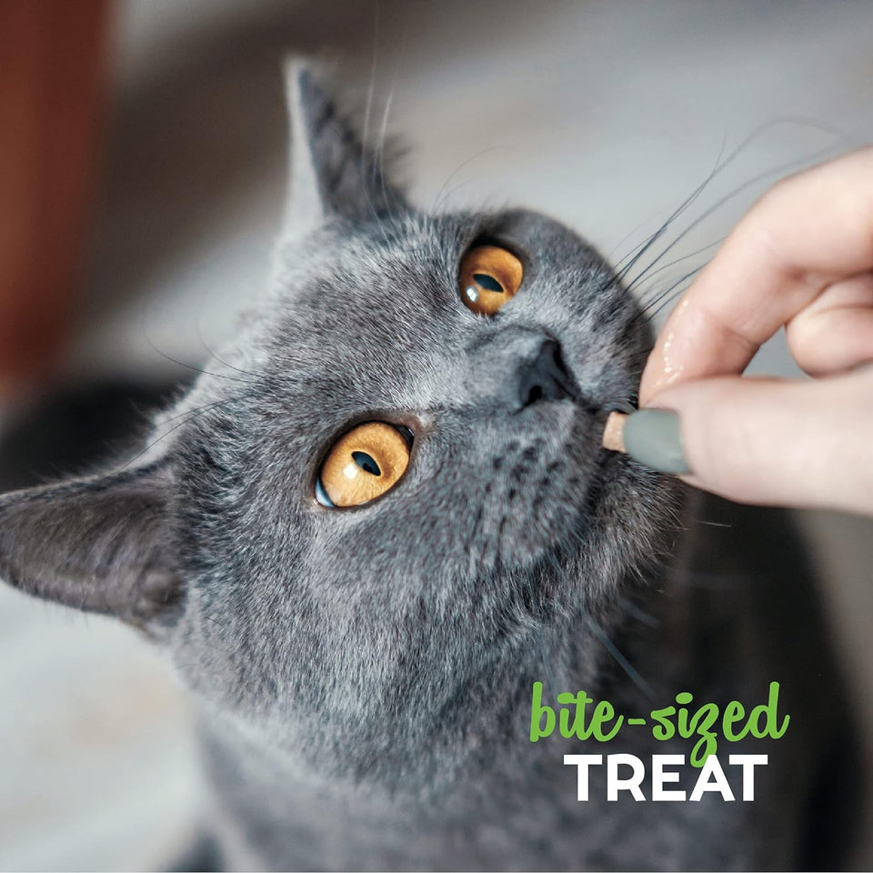 Cloud Star Grain-Free Buddy Biscuits With Tender Chicken Cat Treats, 3 oz. Bag