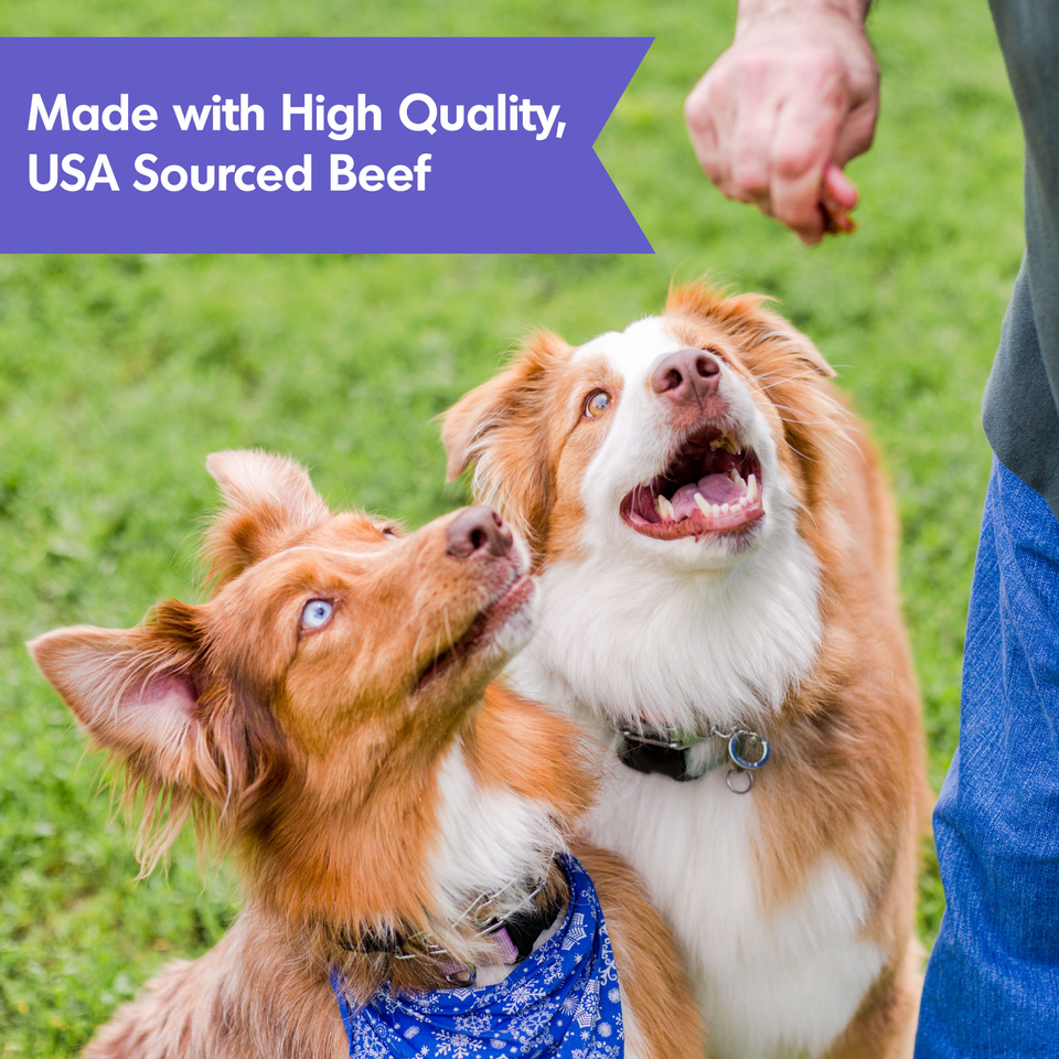 Dogswell Hip & Joint Grain-Free Jerky Dog Treat Regular Beef 10 oz
