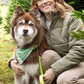 Mossy Pine Waterproof Dog Collar - Pets Perfect