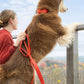 Scarlet Peaks Waterproof Dog Collar - Pets Perfect
