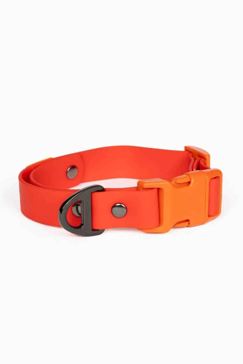 Scarlet Peaks Waterproof Dog Collar, Autumn Red / Flame Orange/20 - 26, view 5