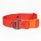 Scarlet Peaks Waterproof Dog Collar - Pets Perfect